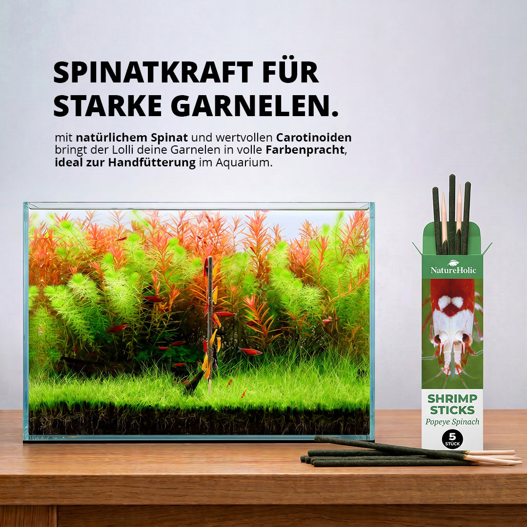 NatureHolic - Garnelen Lollies „Popeye - Spinat“ - 5 Lollis fürs Aquarium