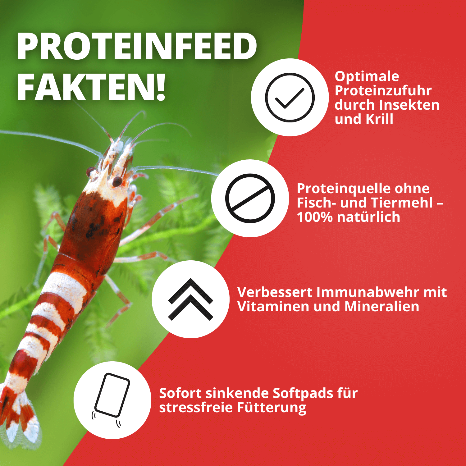 NatureHolic - Proteinfeed Garnelenfutter - 30g