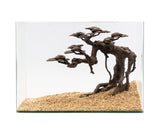 NatureHolic - Stone Bonsai - Senki