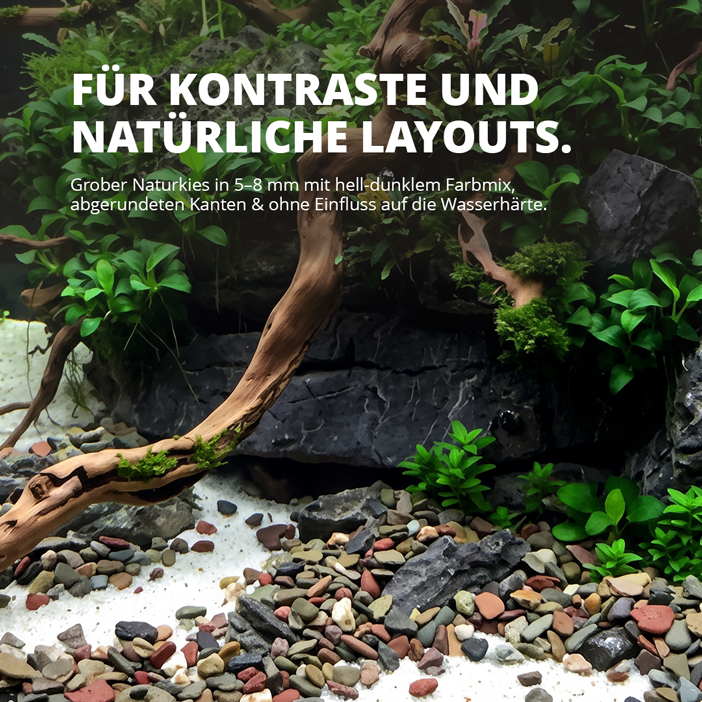 River-Mix Kies für kontrastreiche natürliche Aquarium-Layouts