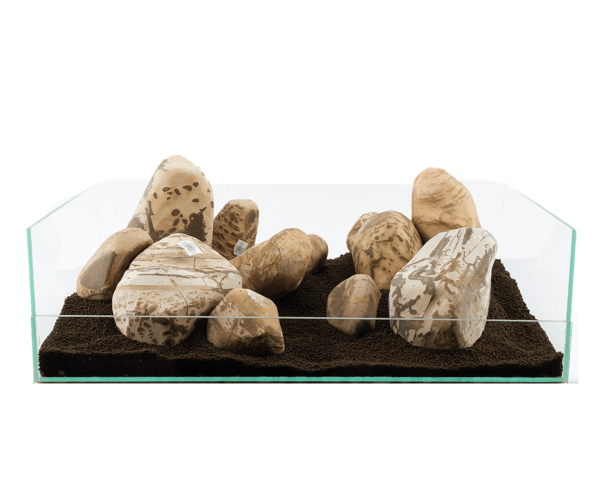 Shodo Stone - Stein für Aquarium & Terrarium - 250g Bruch