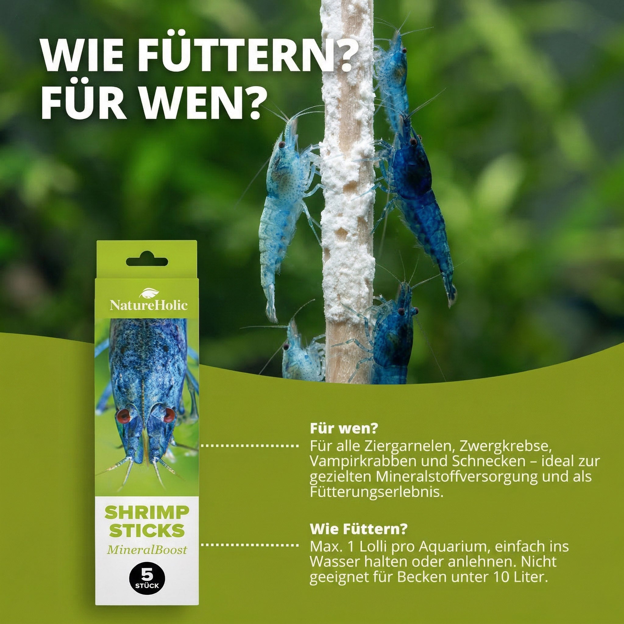 NatureHolic - Garnelenlutscher „MineralBoost“ - Garnelenfutter 1 stk
