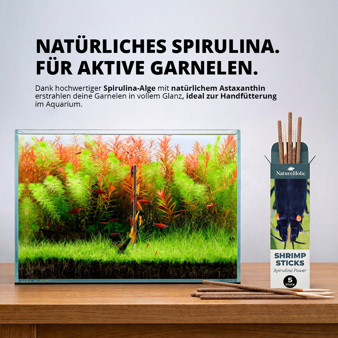 NatureHolic - Garnelen Lollies „Spirulinapower“ - 5 Lollis fürs Aquarium