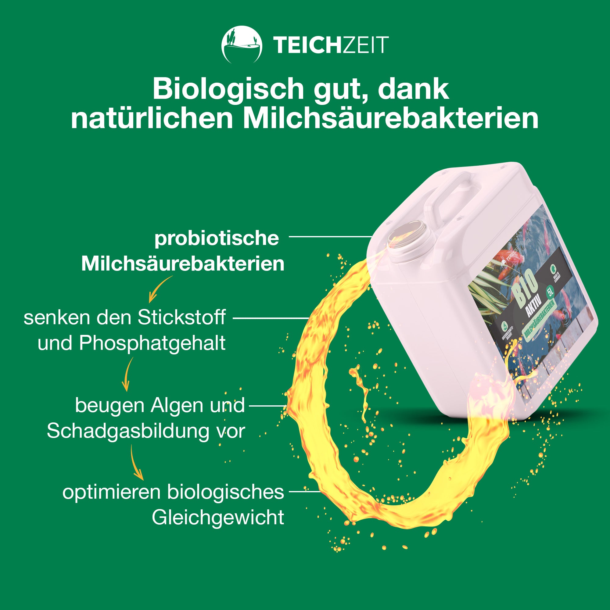 Teichzeit Bio-Aktiv - Milchsäurebakterien