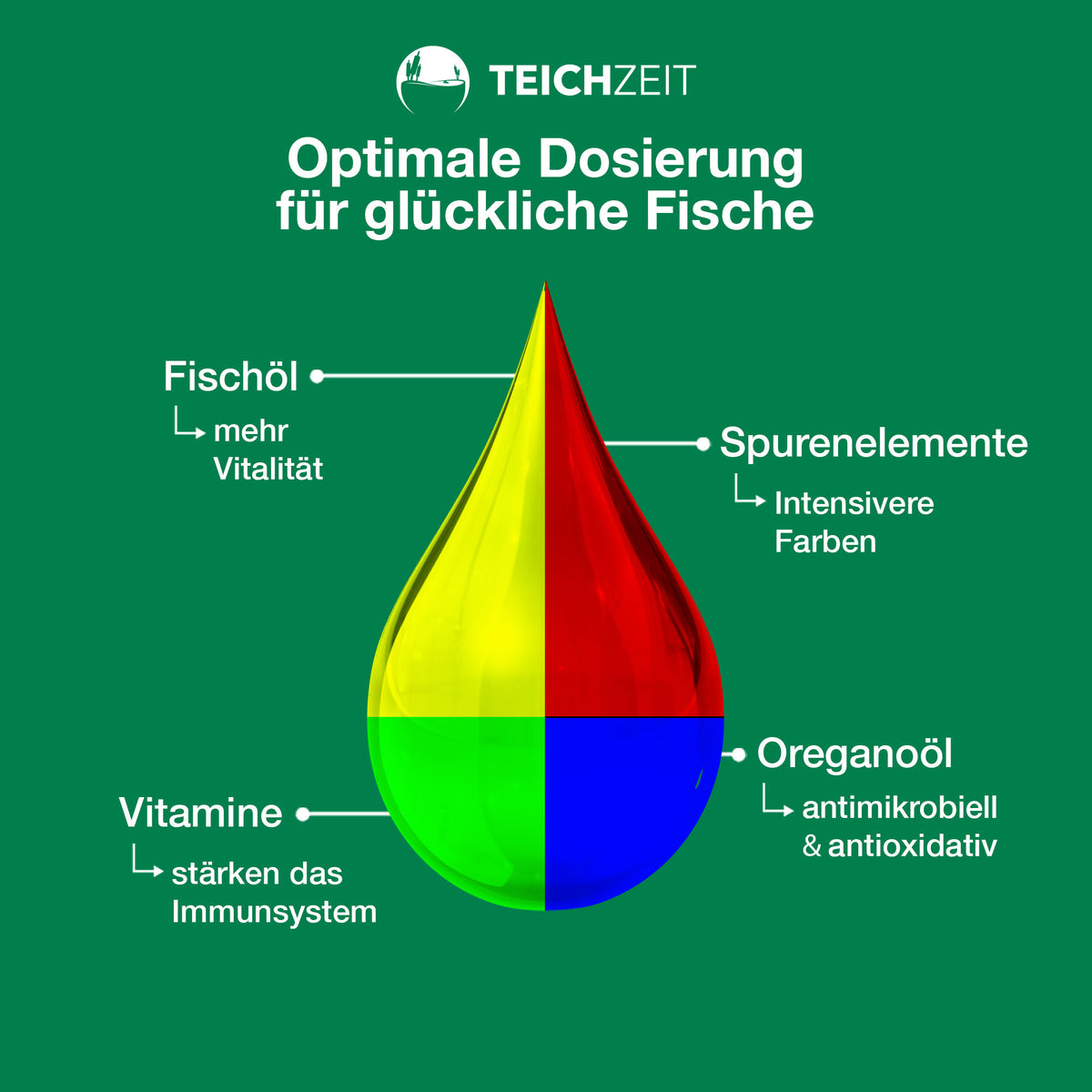 Teichzeit - Biotop Futter Sink