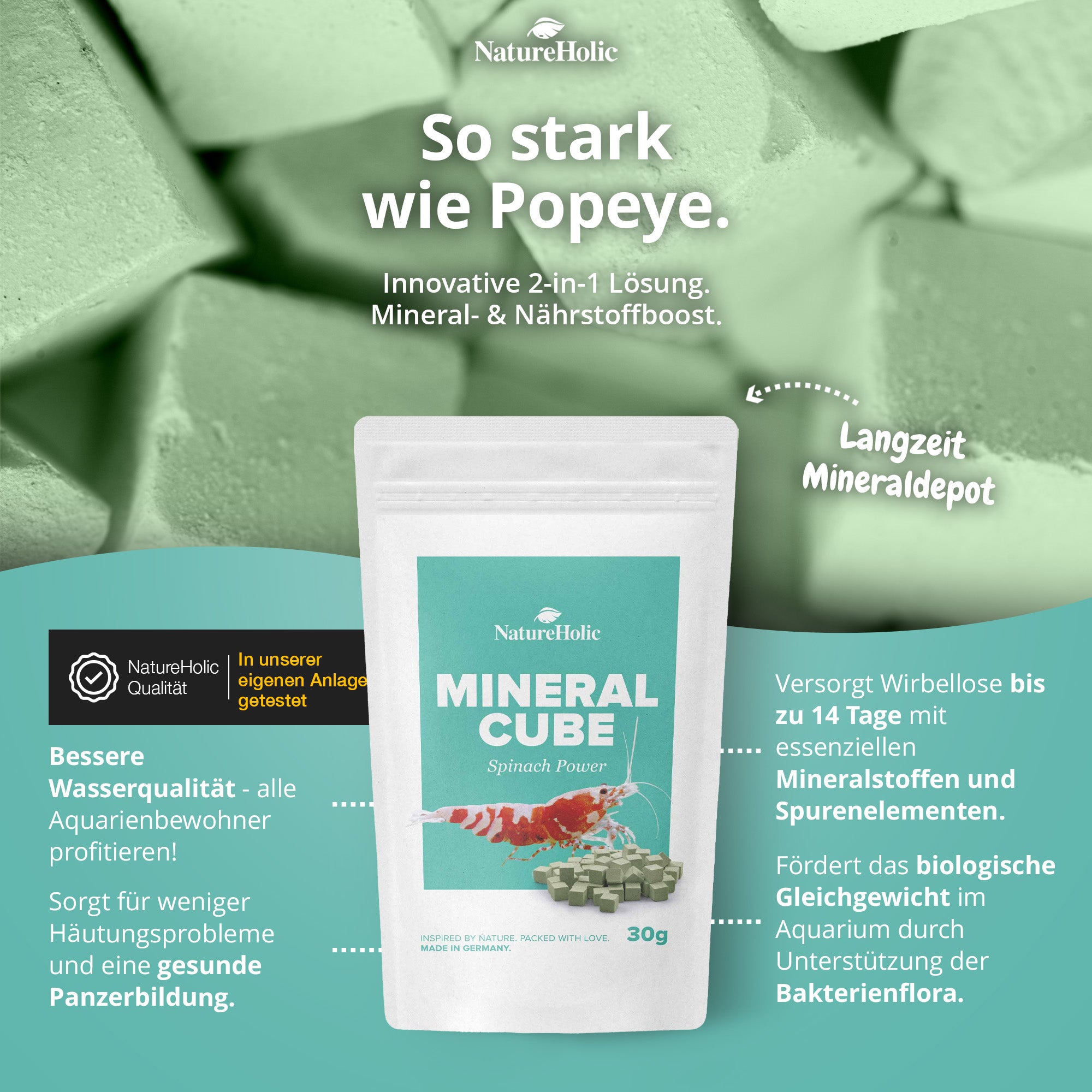 NatureHolic MineralCube Bundle - 4 Sorten - Mineralien für Garnelen, Schnecken & Krebse