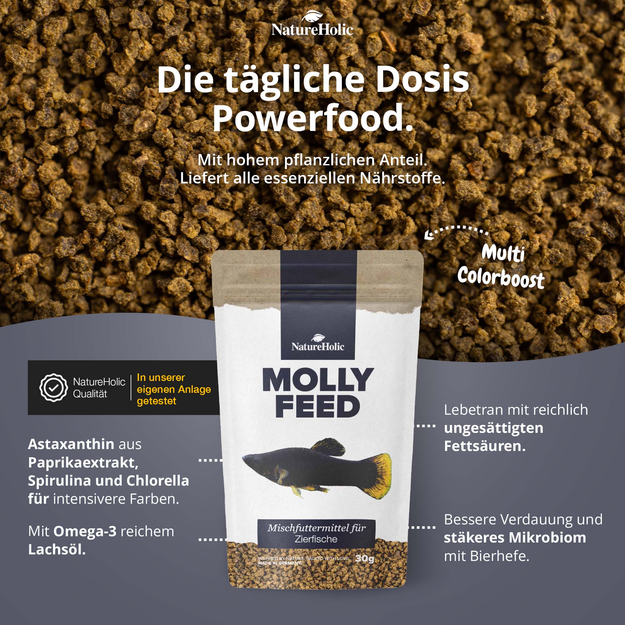 MollyFeed