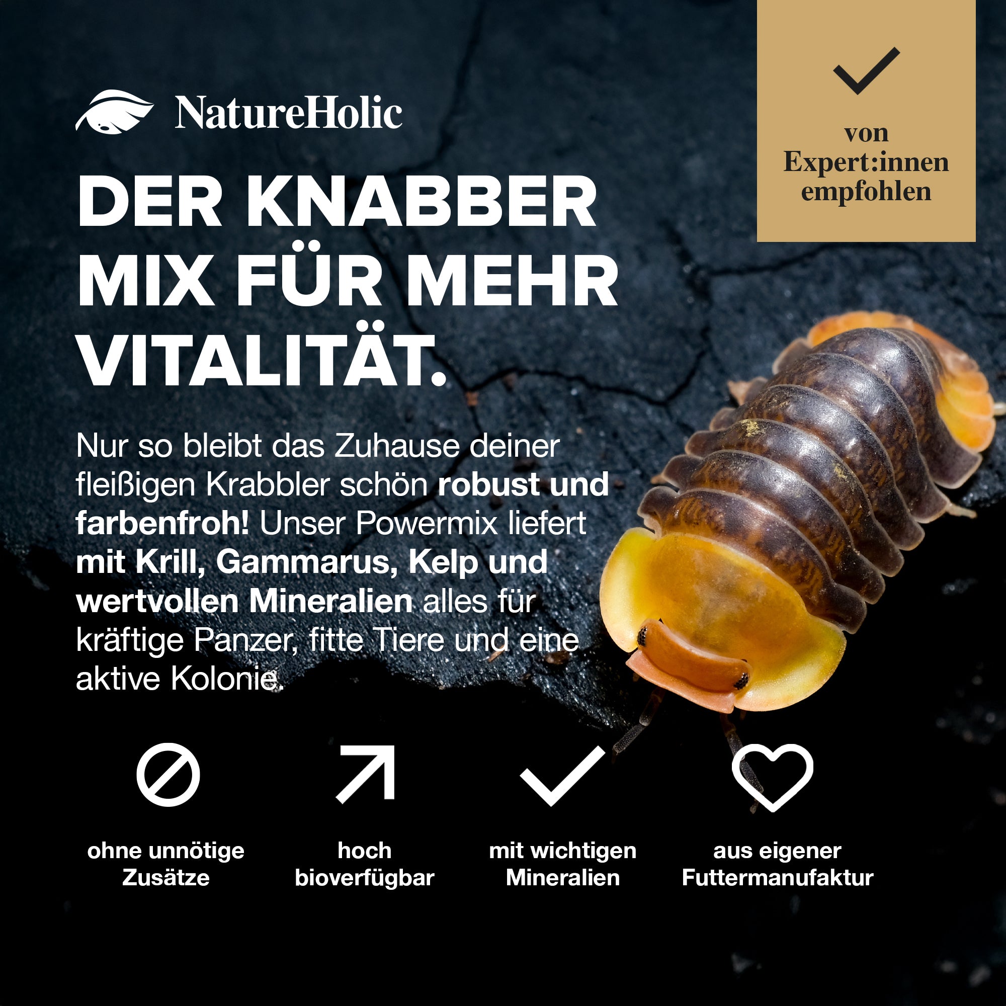 NatureHolic AsselFeed - Mischfutter für Asseln