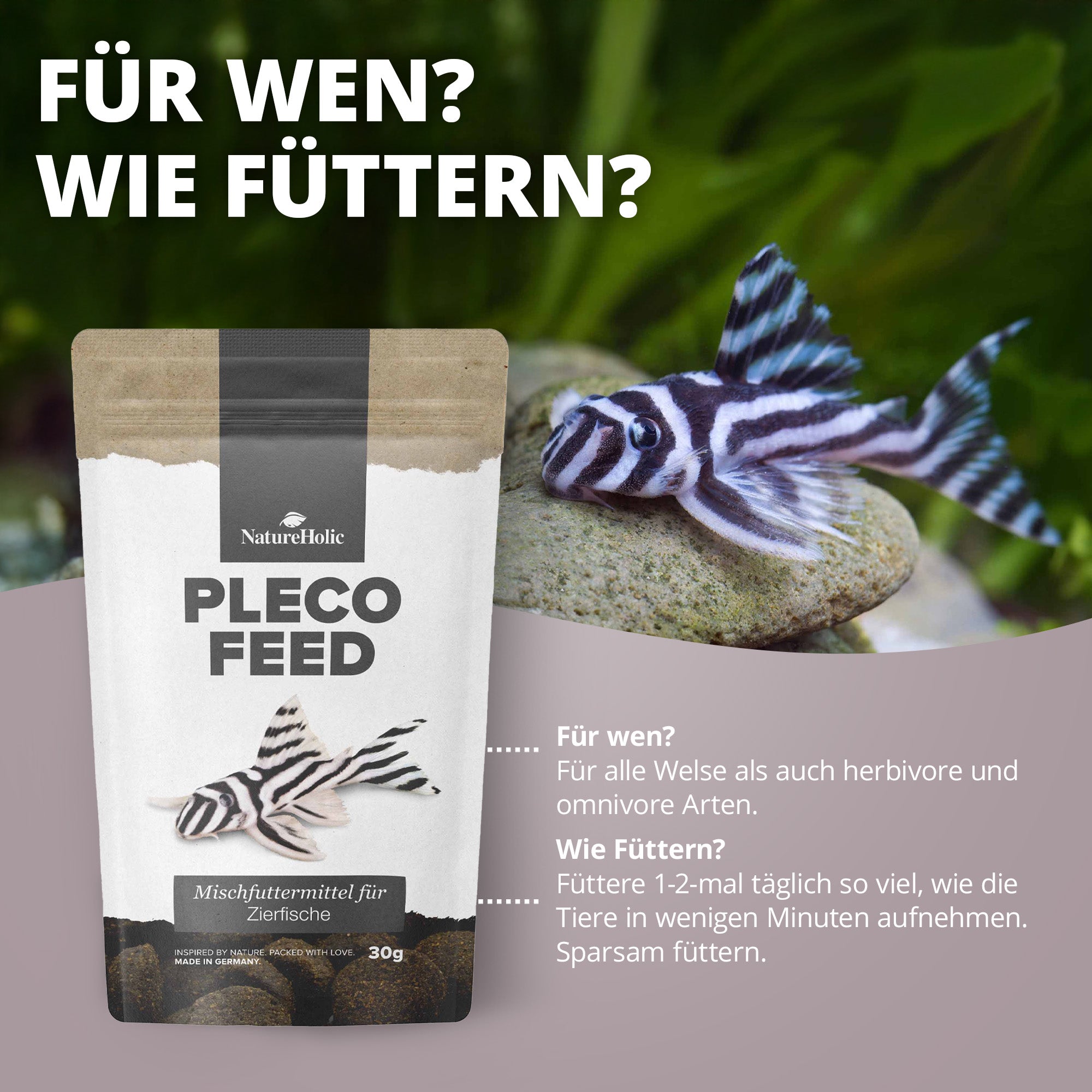 Welsfeed