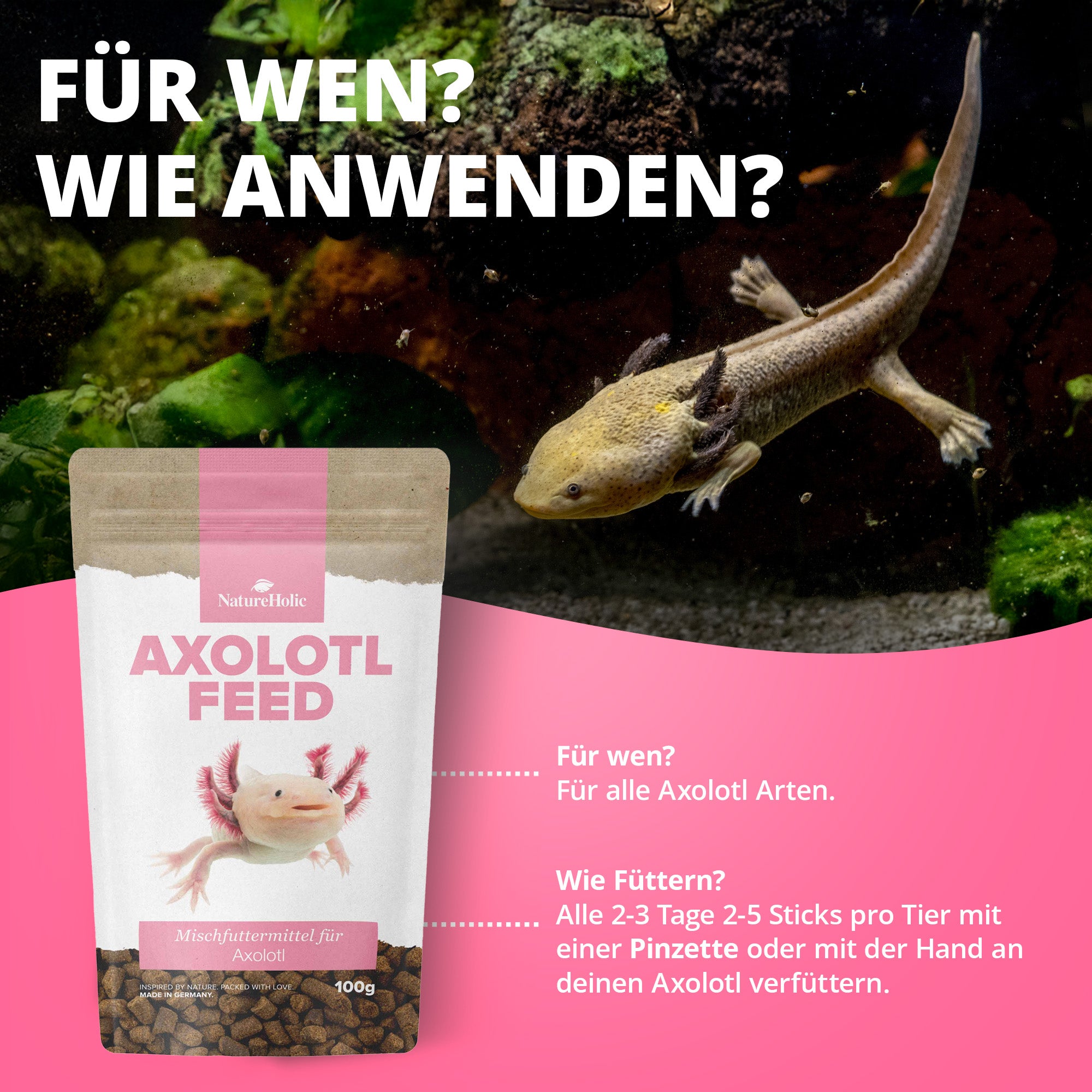 AxolotlFeed Spezialfutter