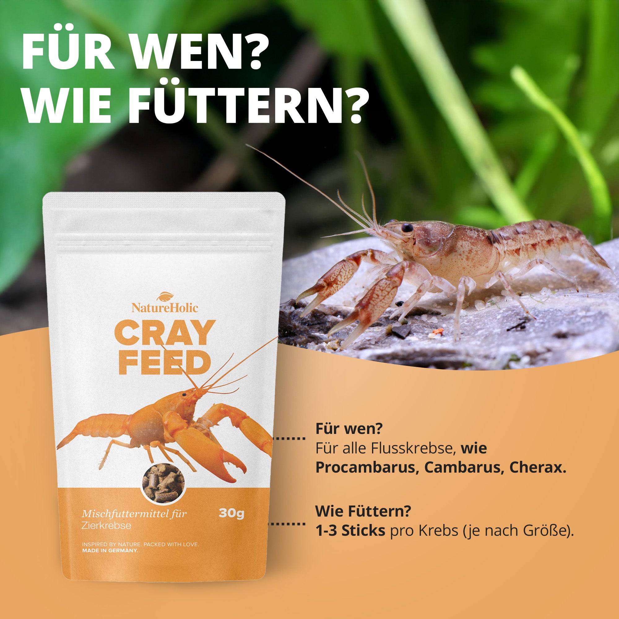 Krebsfeed