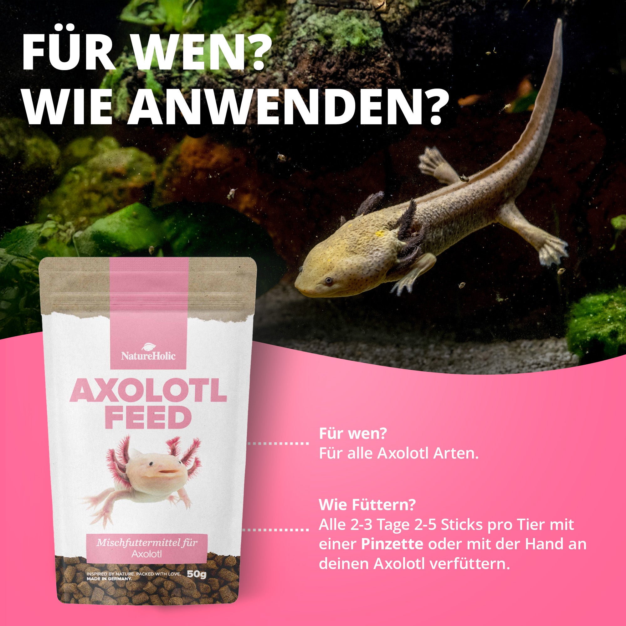 AxolotlFeed Spezialfutter