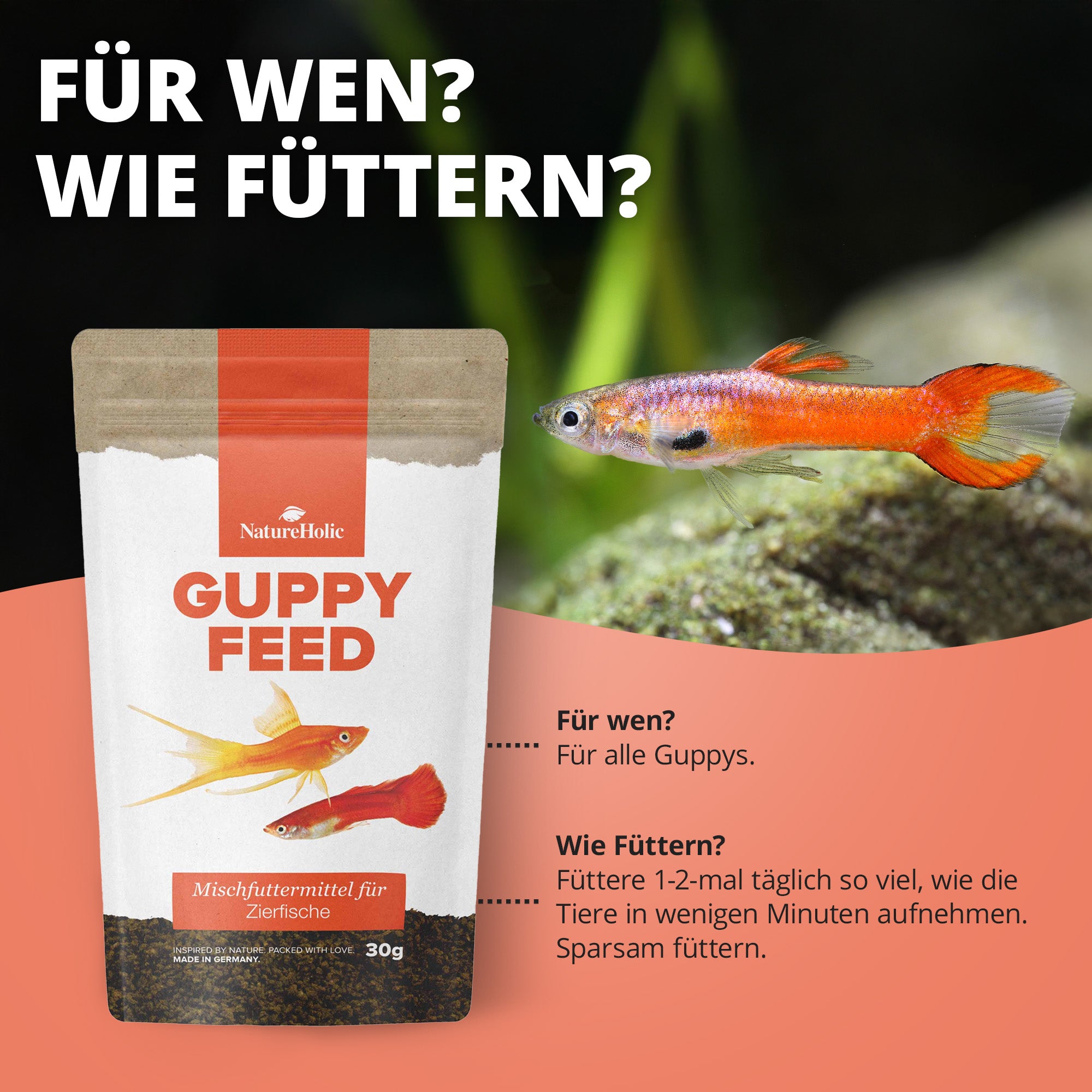 Guppyfeed