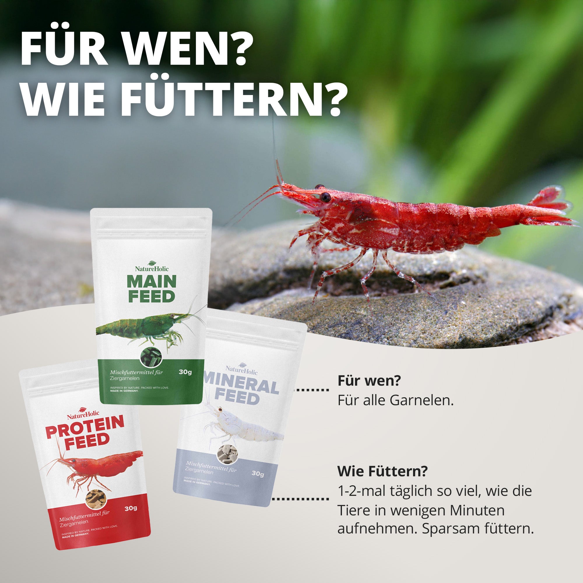NatureHolic - Futter Paket - Mainfeed / Proteinfeed / Mineralfeed
