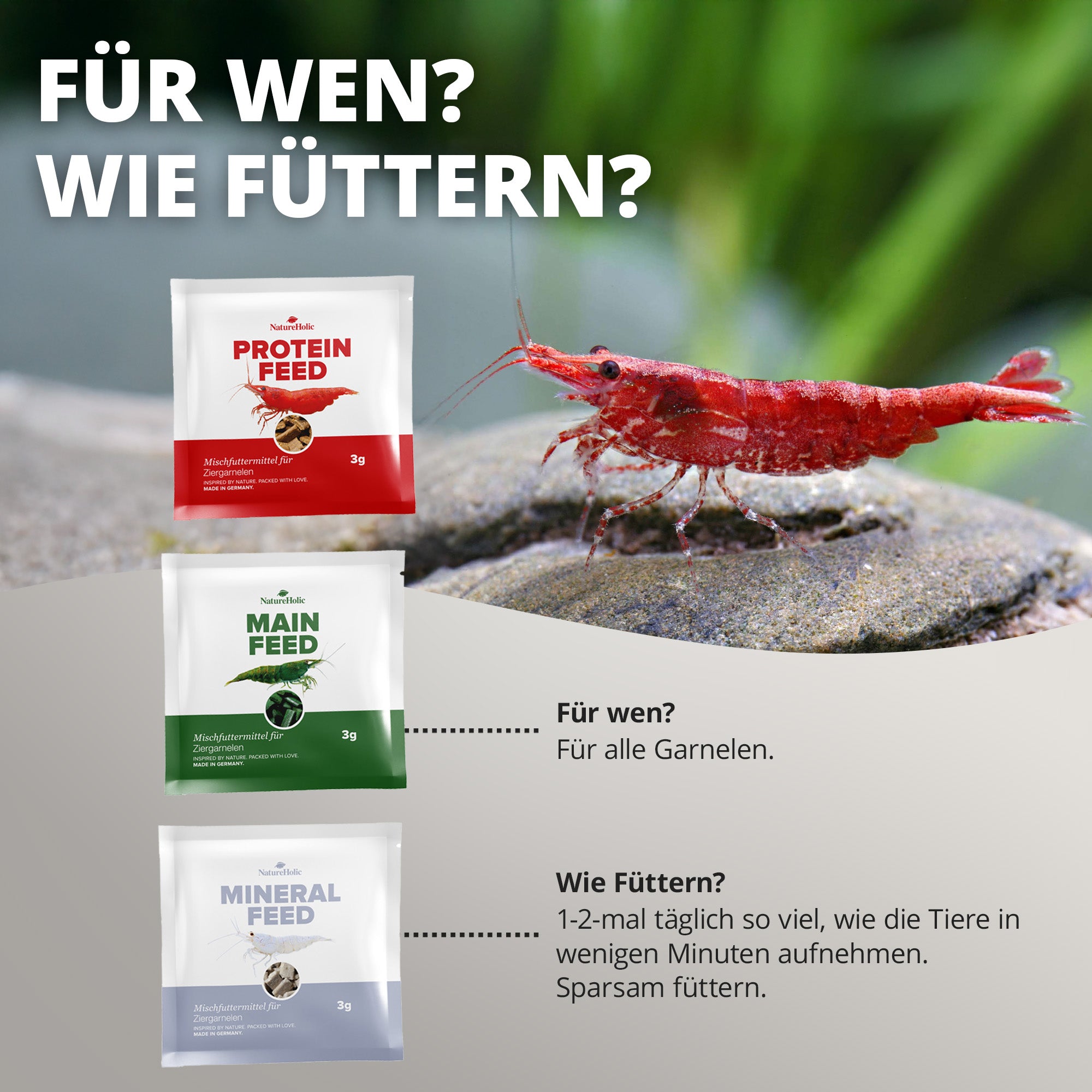 NatureHolic 3 in 1 - Shrimp Mix - Mainfeed / Proteinfeed / Mineralfeed