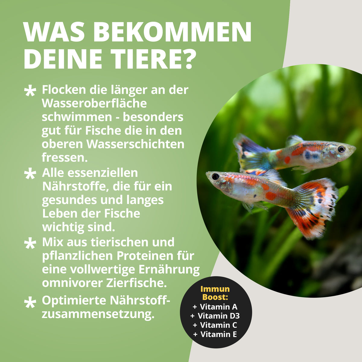 NatureHolic Hauptfeed "Flocke" - Zierfischhauptfutter - 1 Liter
