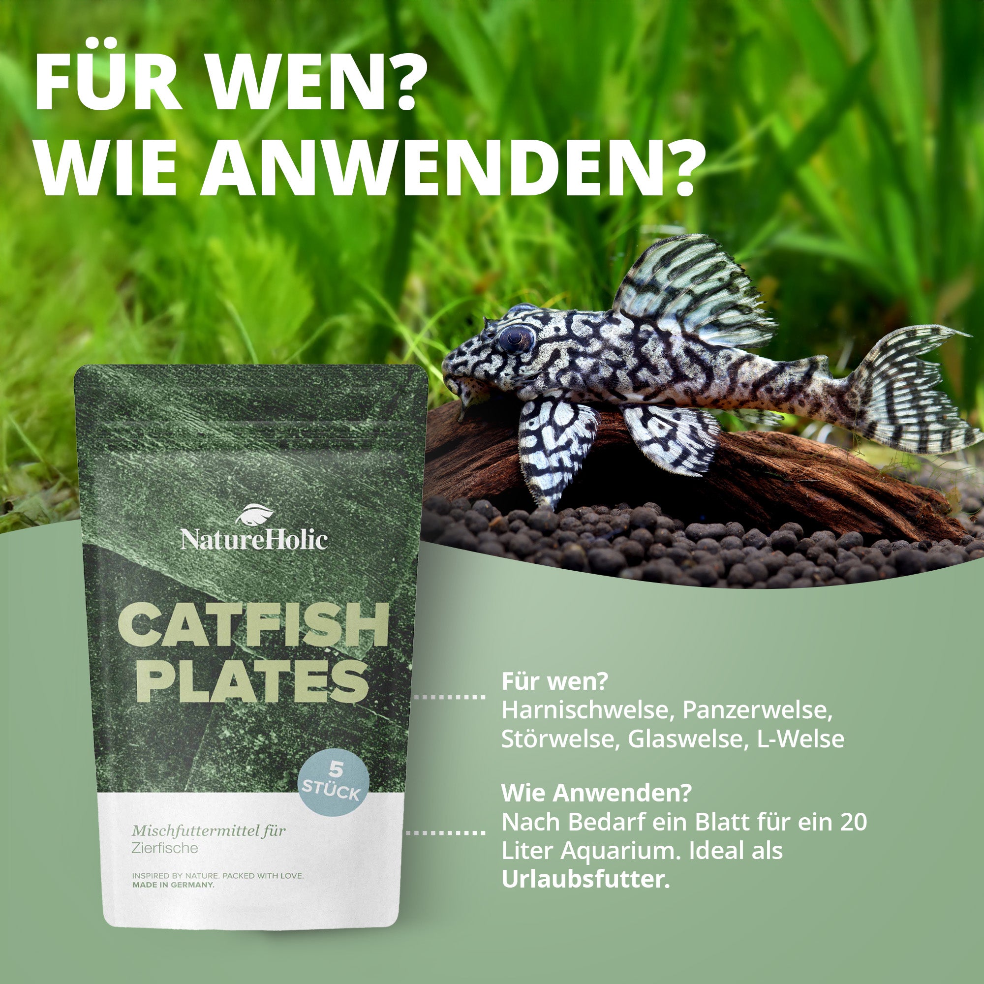 NatureHolic - CatfishPlates - Algentafeln (5 stk.) für alle Saugwelse / L - Welse