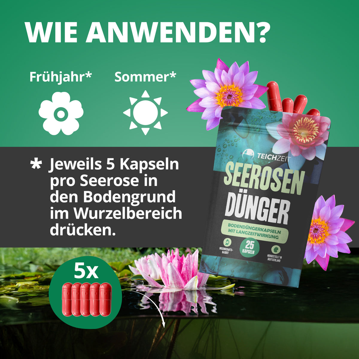 Teichzeit Seerosen Dünger - Langzeitdünger mit 2 in 1 Wirkprinzip