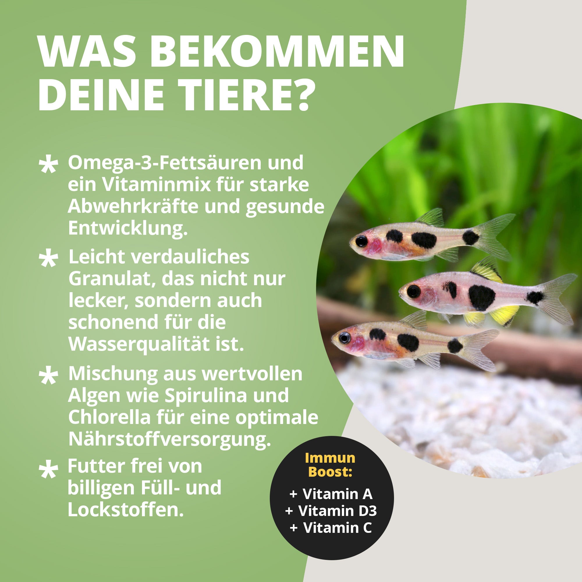 Hauptfeed "Granulat" Zierfische