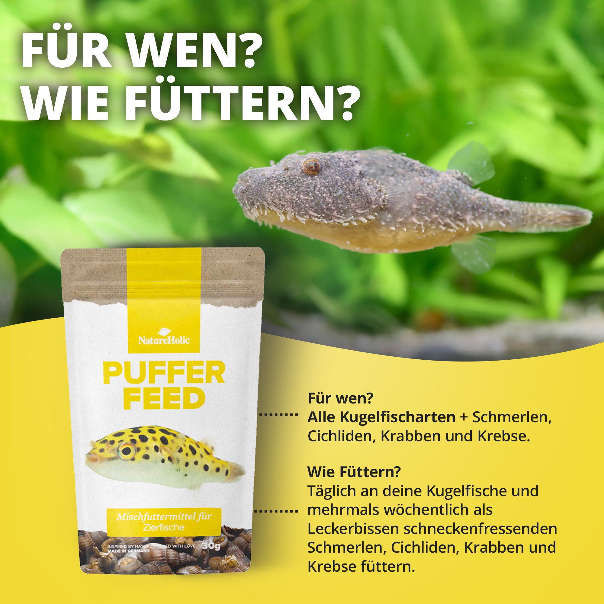 Pufferfeed