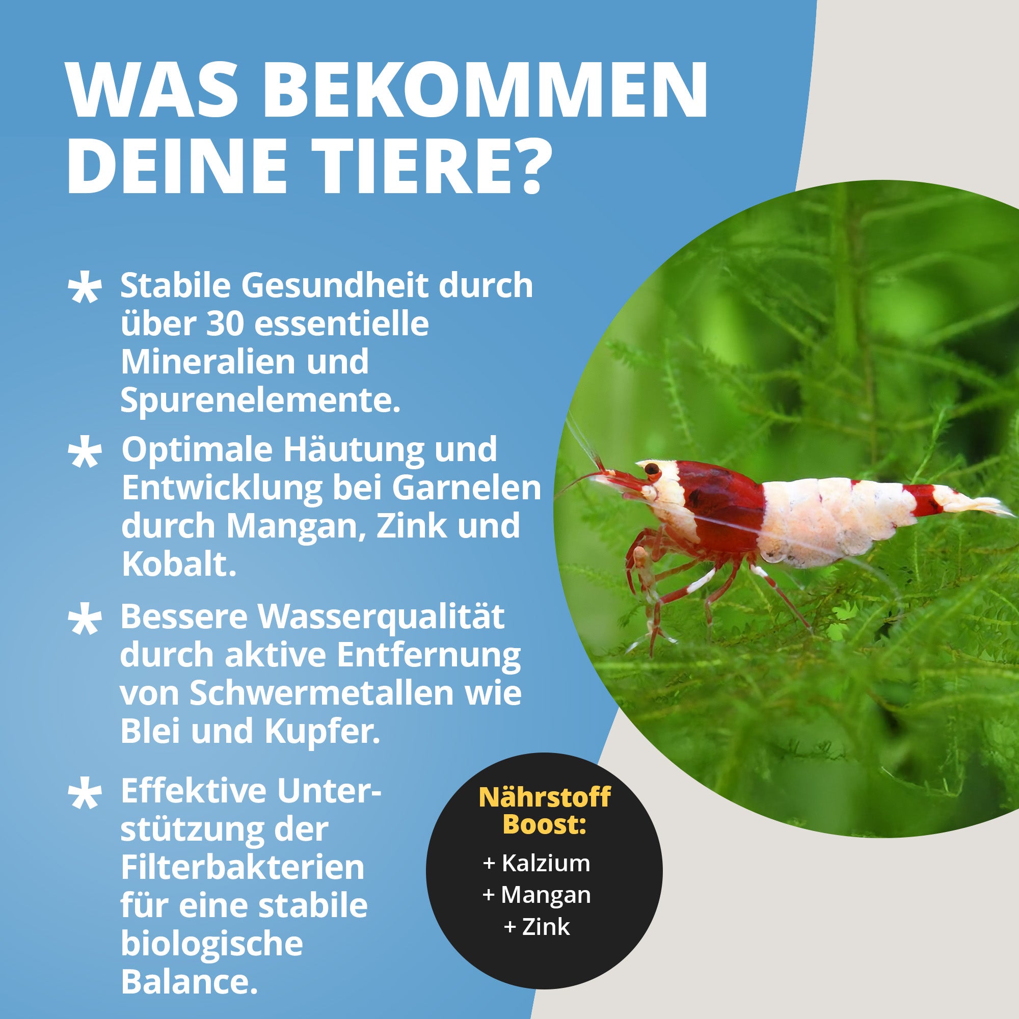 NatureHolic ToxEx Balls - Wasseraufbereiter - 60g