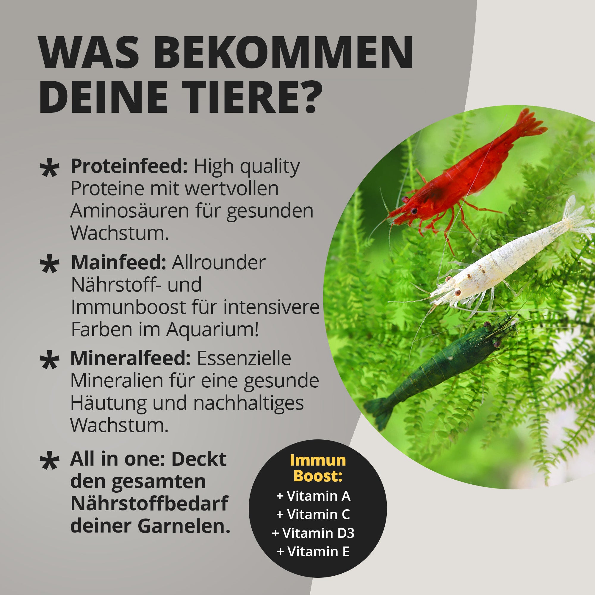 NatureHolic - Futter Paket - Mainfeed / Proteinfeed / Mineralfeed