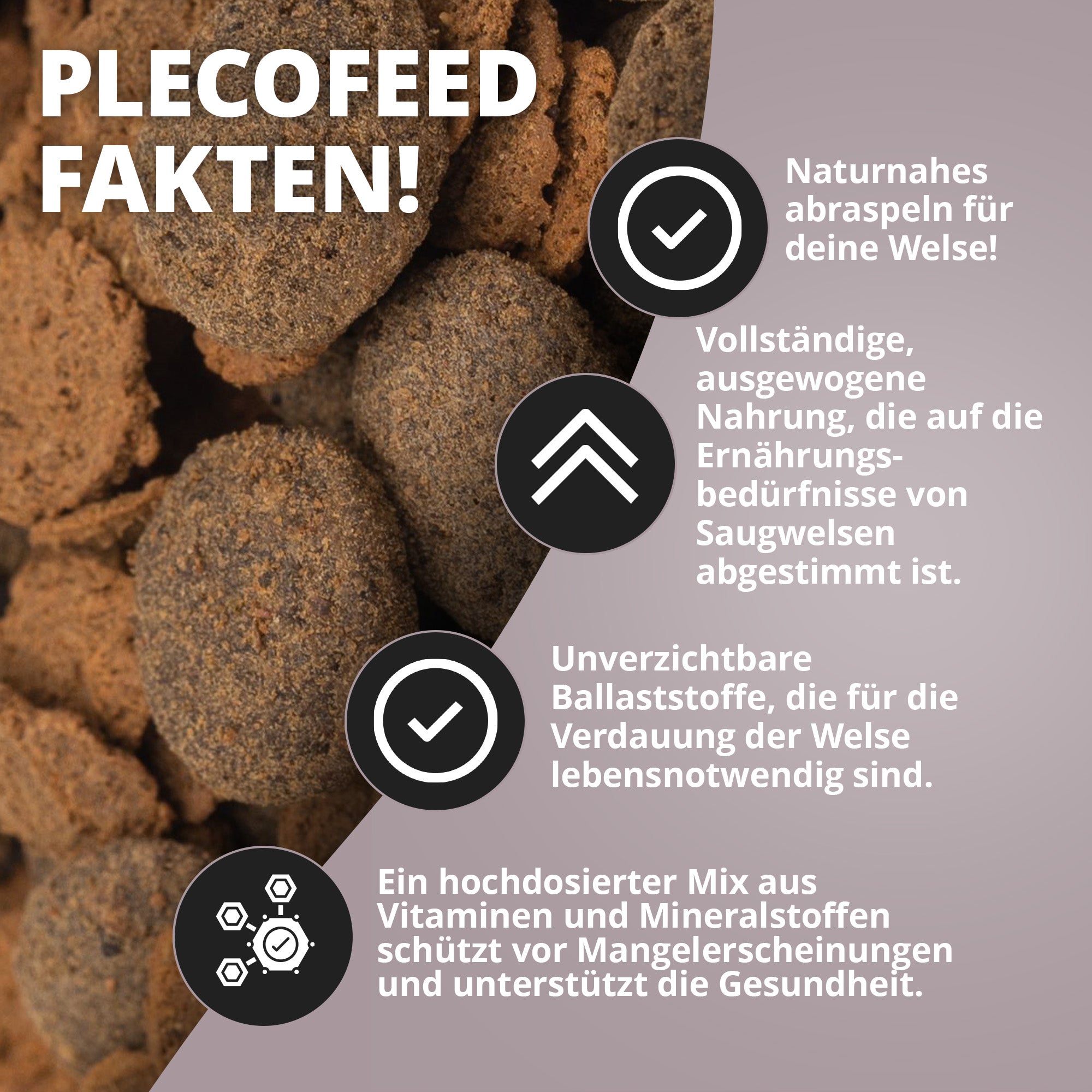 Welsfeed