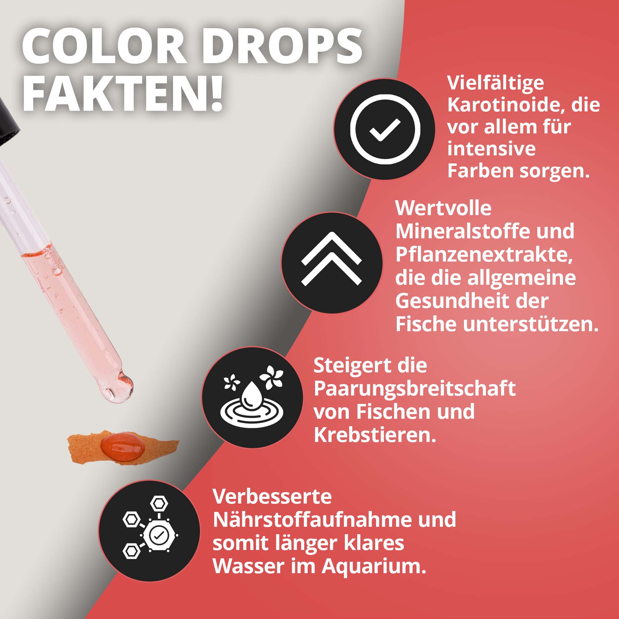 NatureHolic Color Drops - 30ml Fischfutter Zusatz für intensive Farben