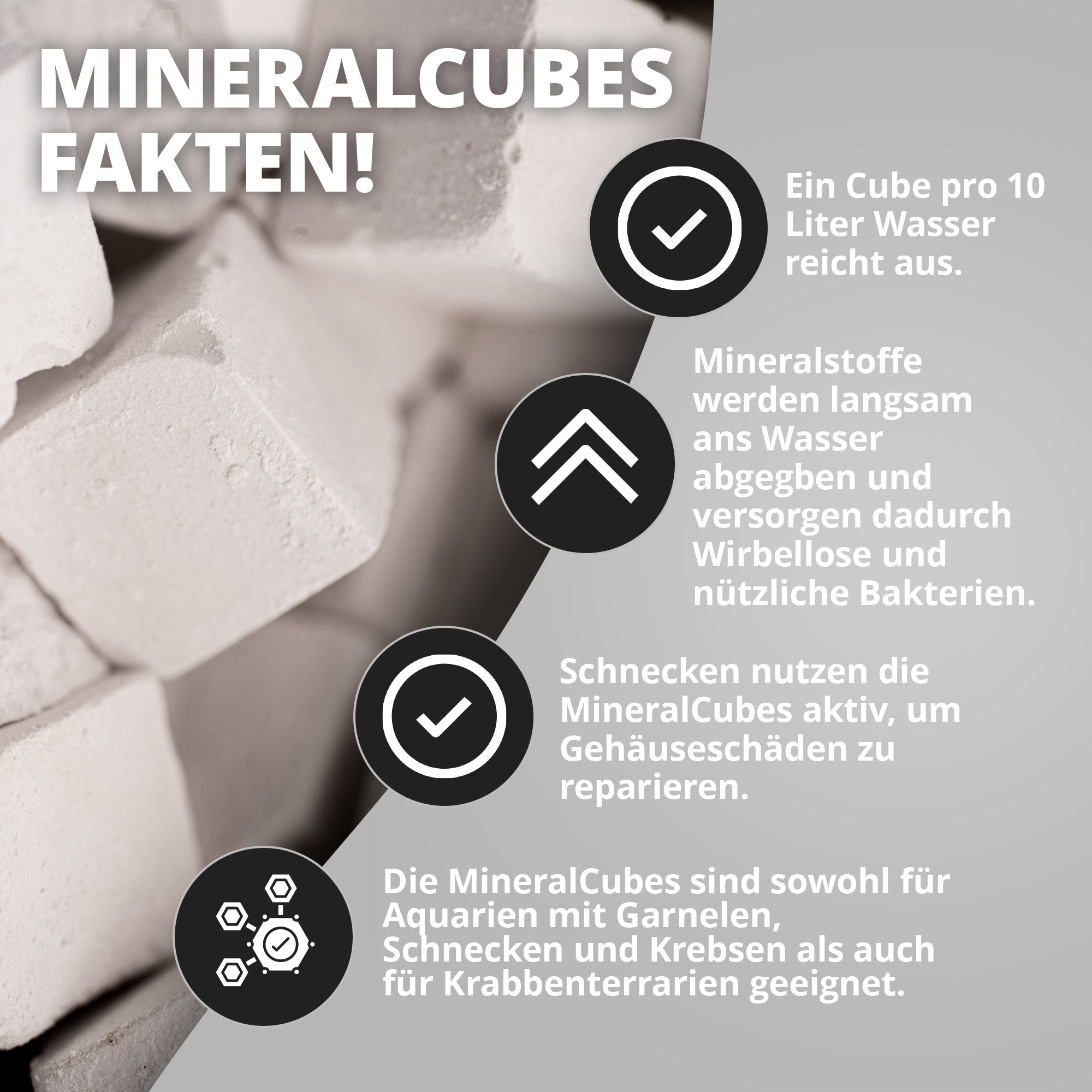 1 x Nano Bites + Mineralcube "Pure Mineral" - Hauptfutter und Mineralversorgung für Garnelen und Zwergflusskrebse