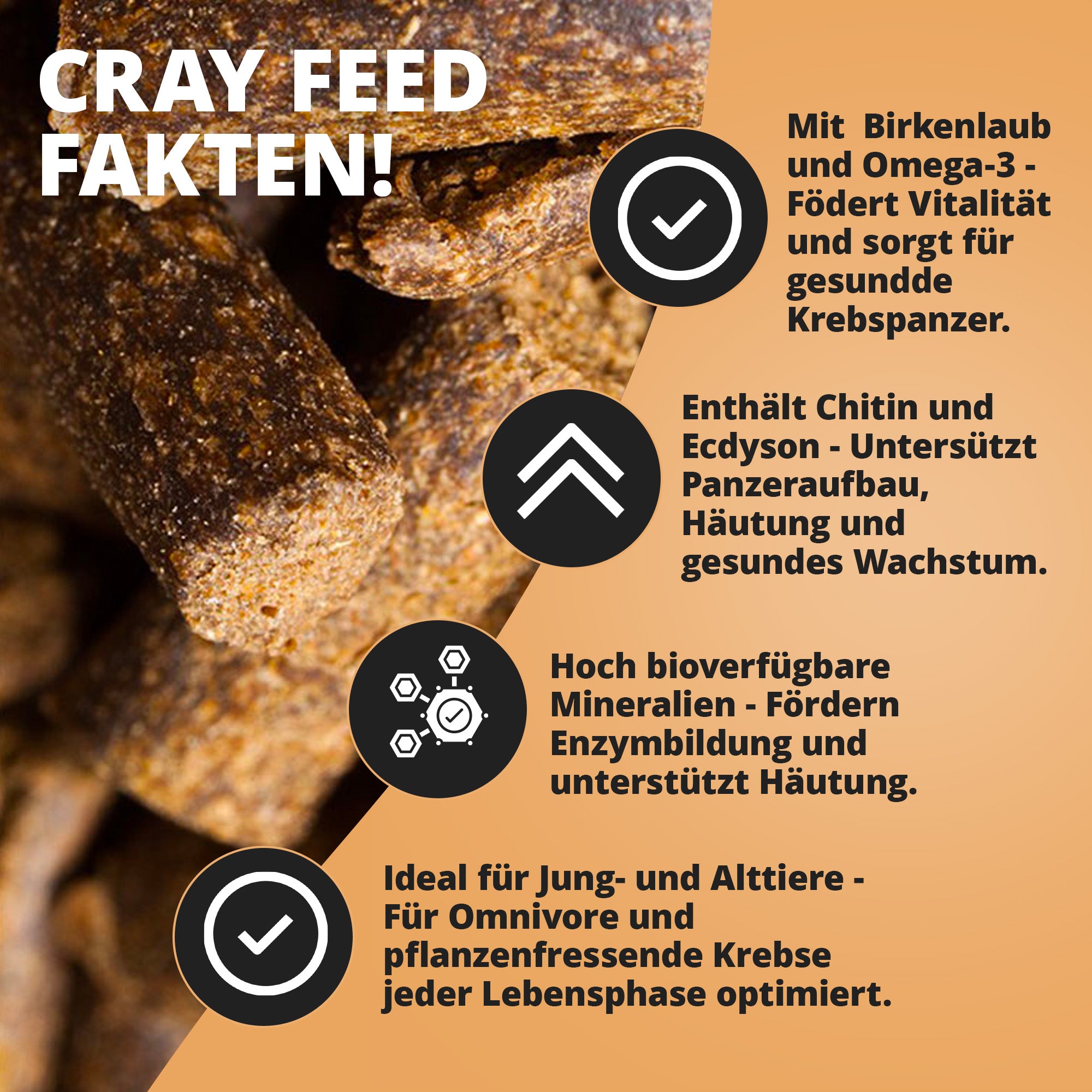 Krebsfeed