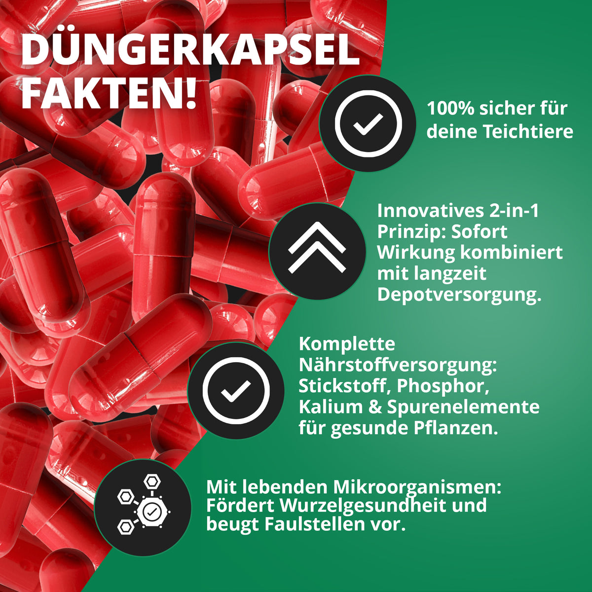 Teichzeit Seerosen Dünger - Langzeitdünger mit 2 in 1 Wirkprinzip