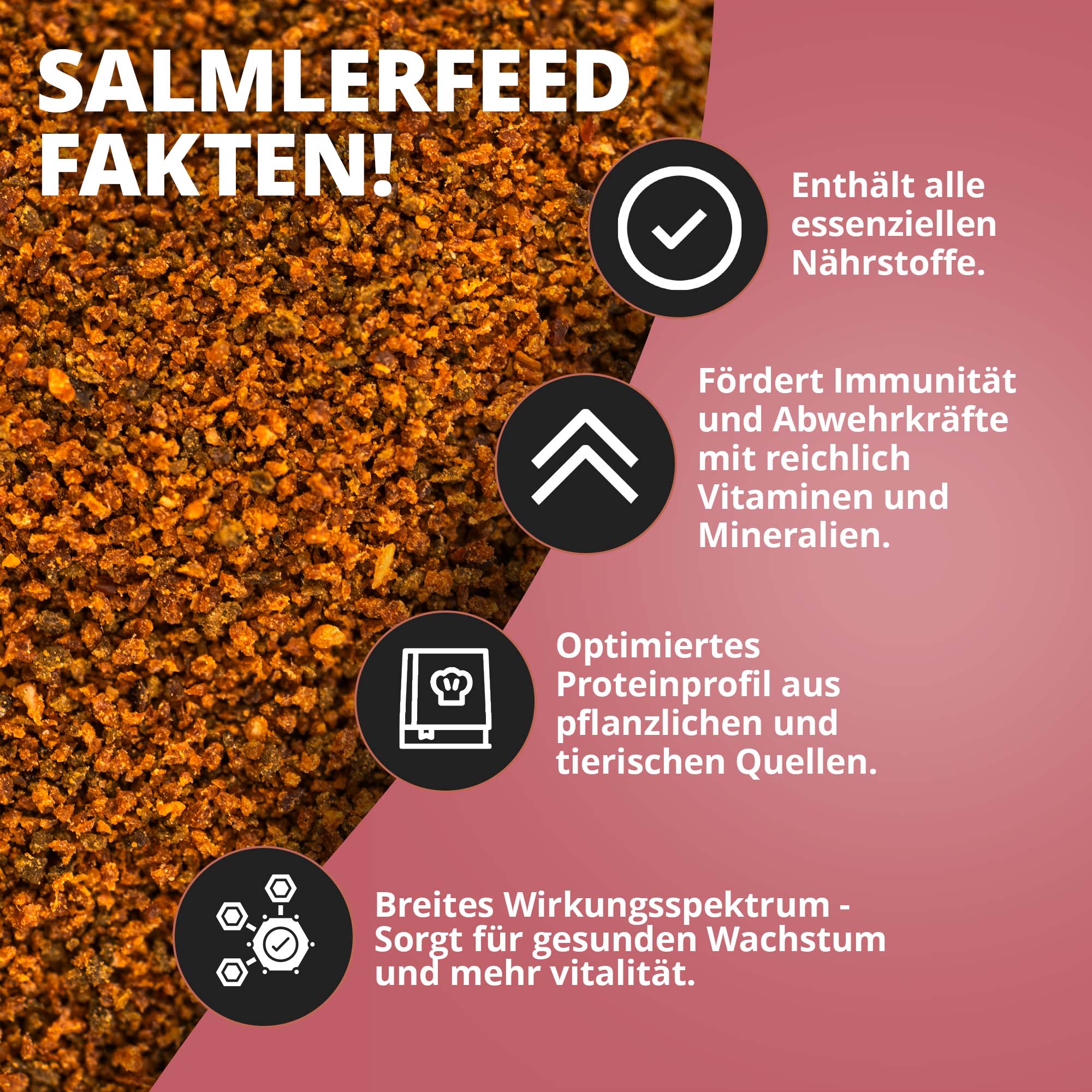 NatureHolic - Salmlerfeed - 30g