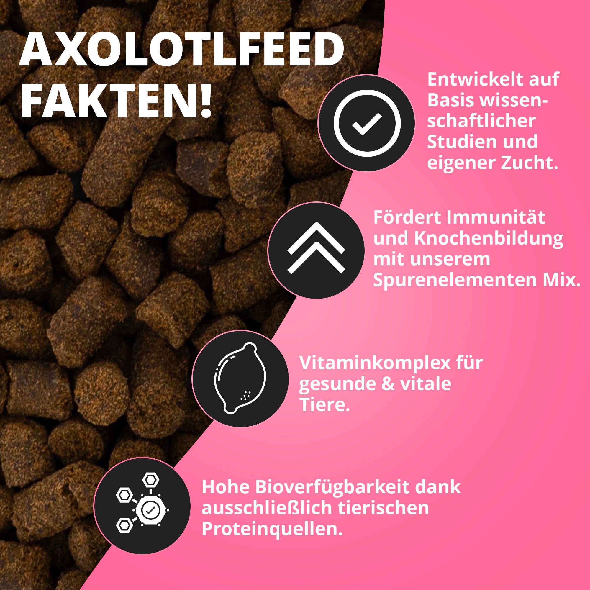 AxolotlFeed Spezialfutter