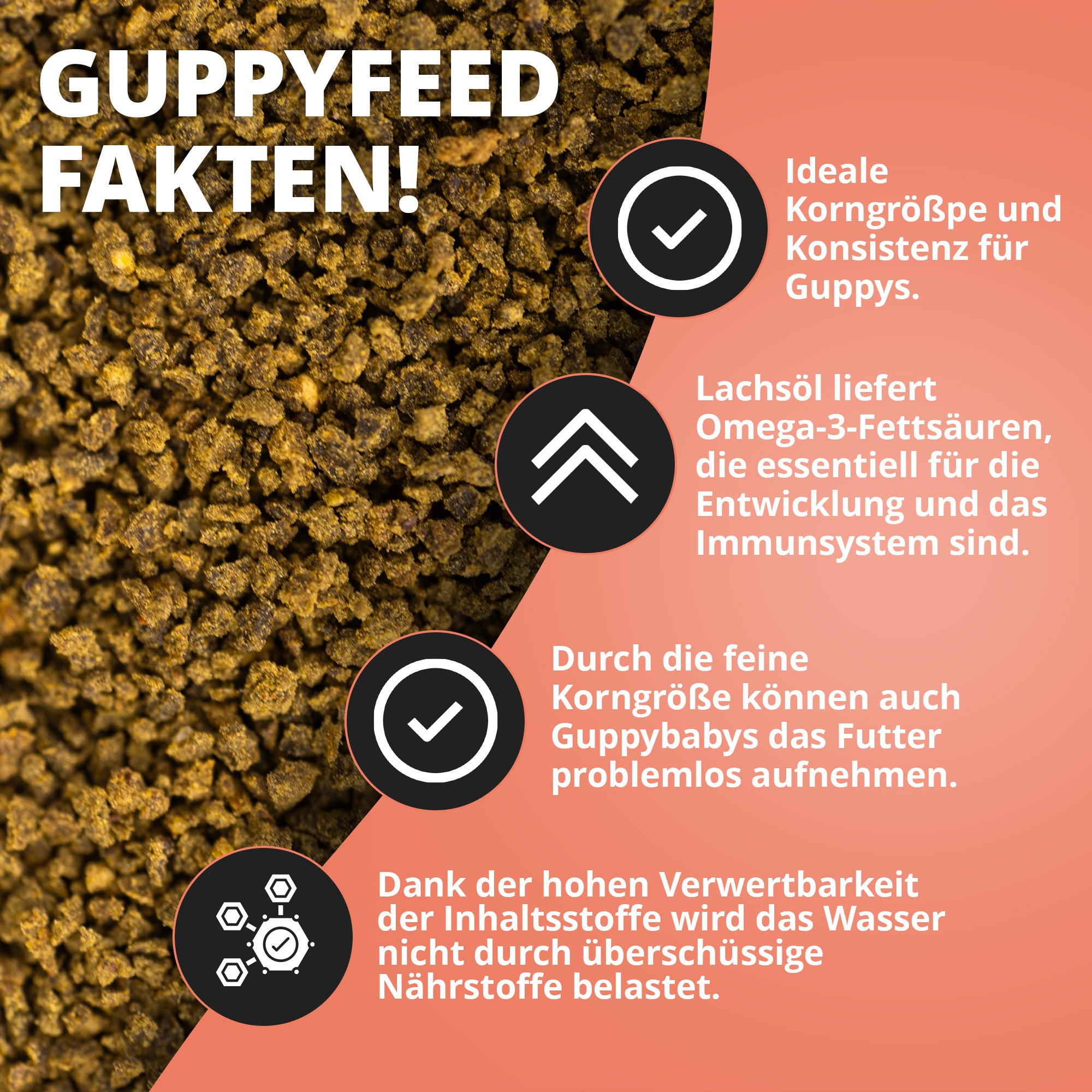 Guppyfeed