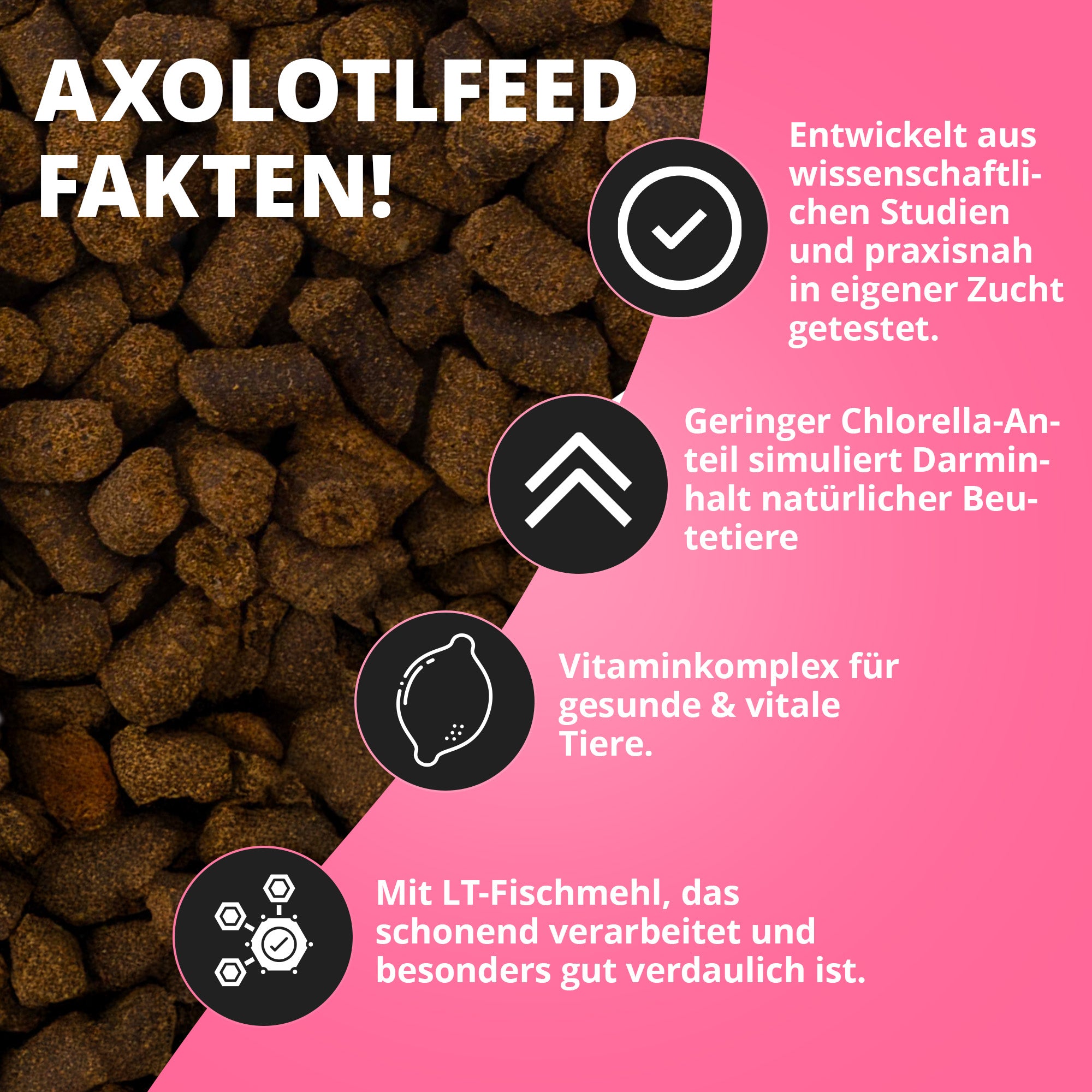 NatureHolic Axolotl Babyfeed - Jungtier Axolotl Softfutter