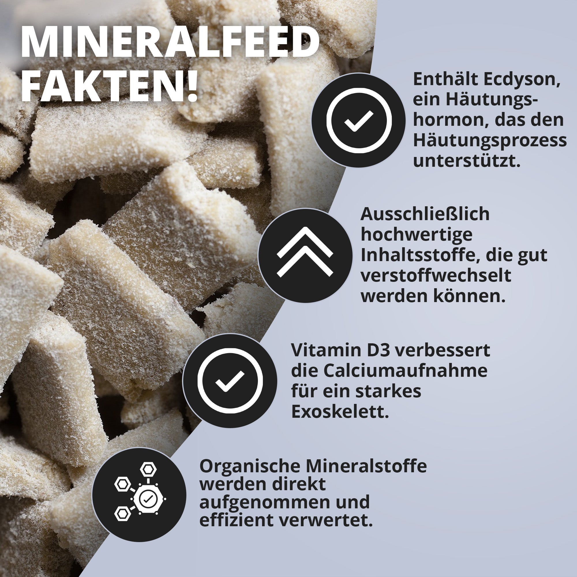 NatureHolic Mineralfeed Garnelenfutter Sparbundle - 2 St.
