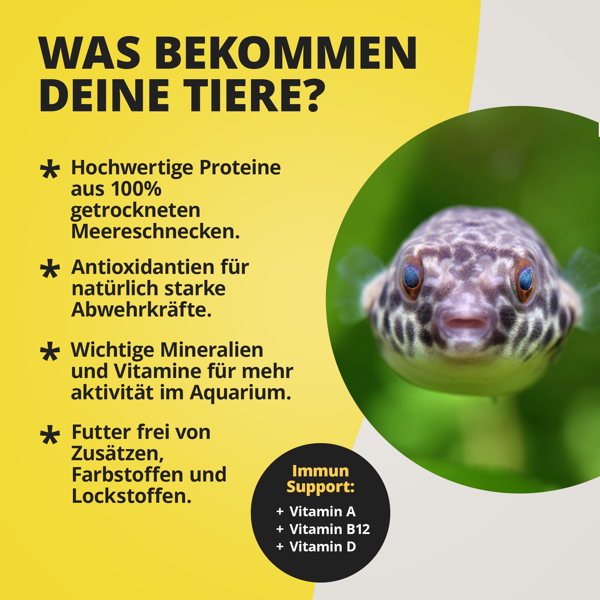 Pufferfeed