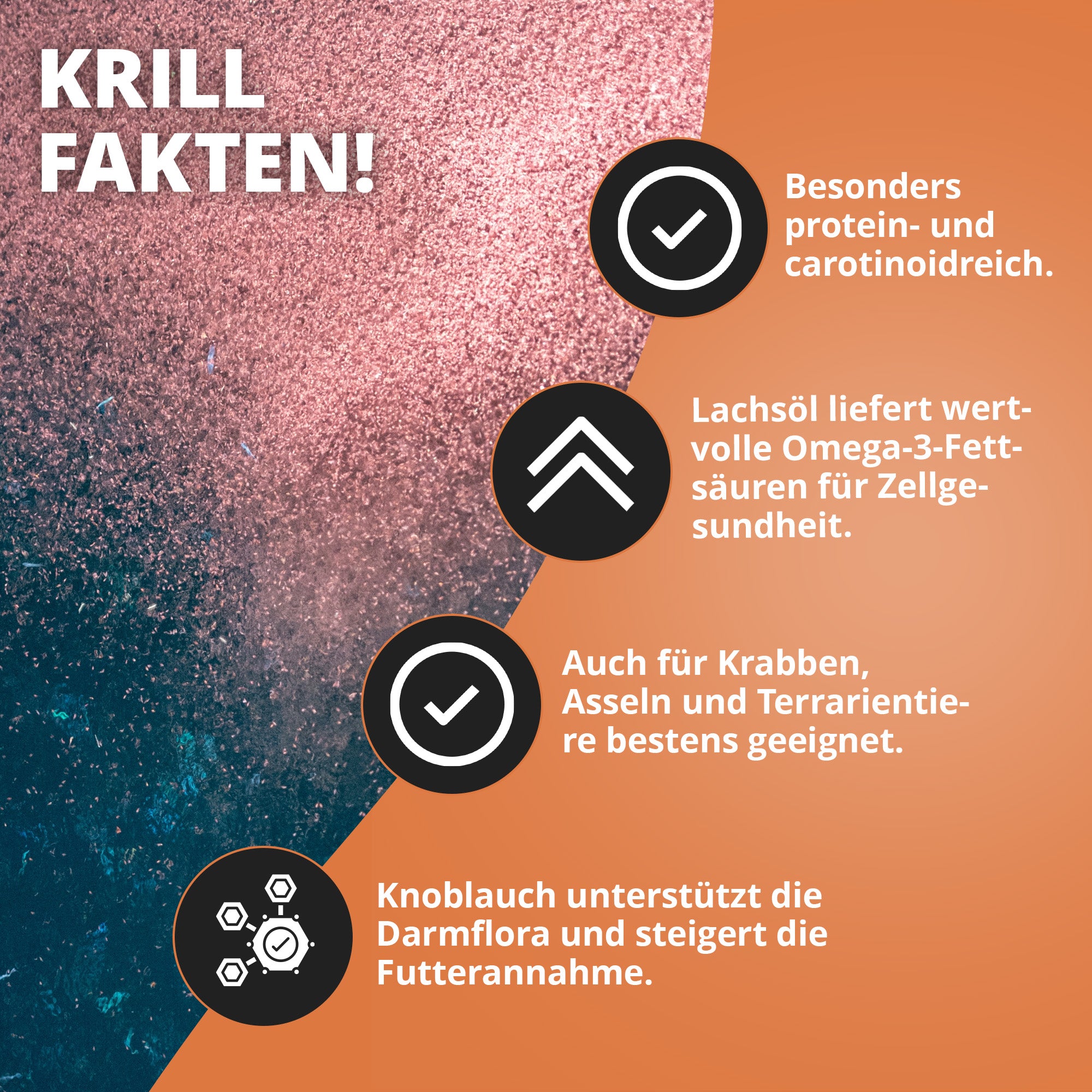NatureHolic Pure Flakes - Krill - 250ml