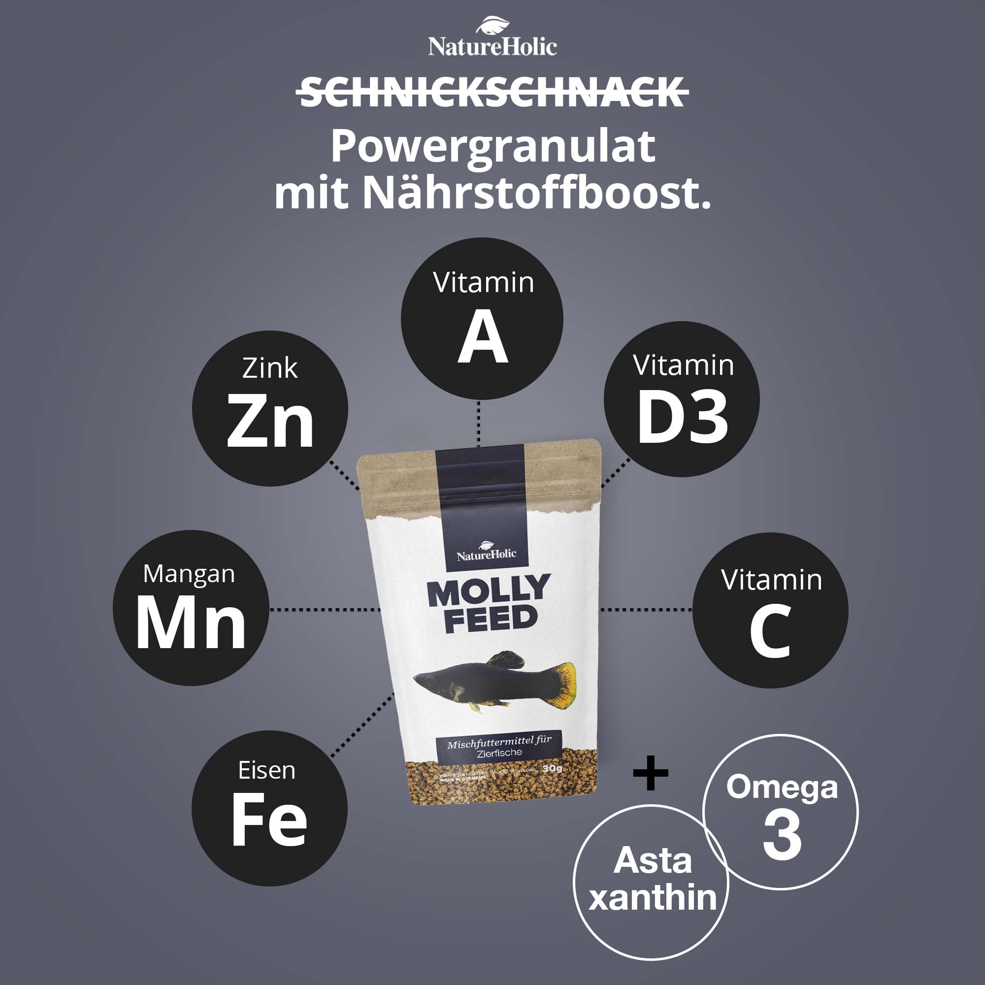 MollyFeed