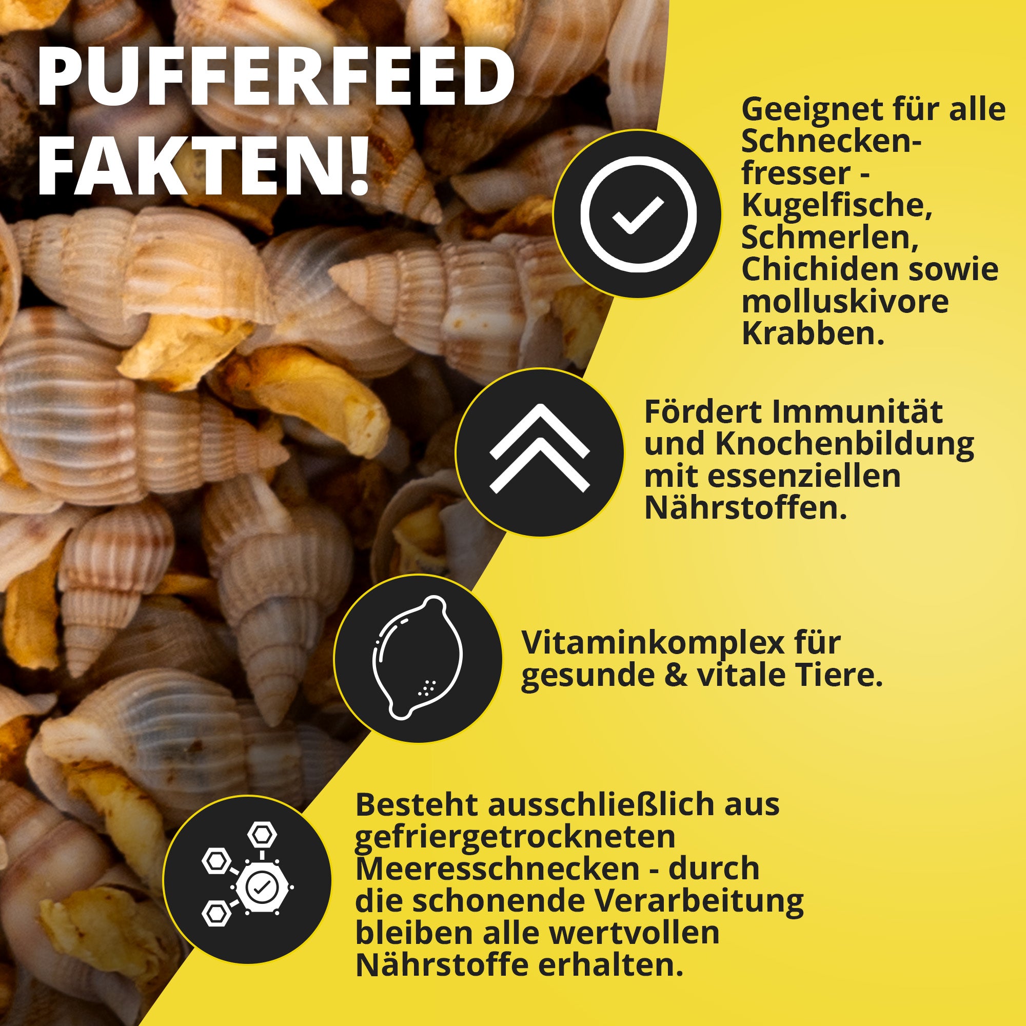 Pufferfeed