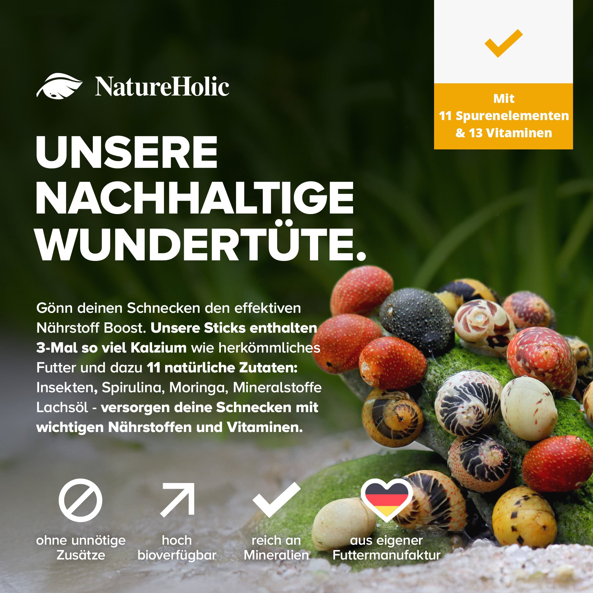 NatureHolic - Schneckenfeed Sticks - 30g - Snailfeed Sticks