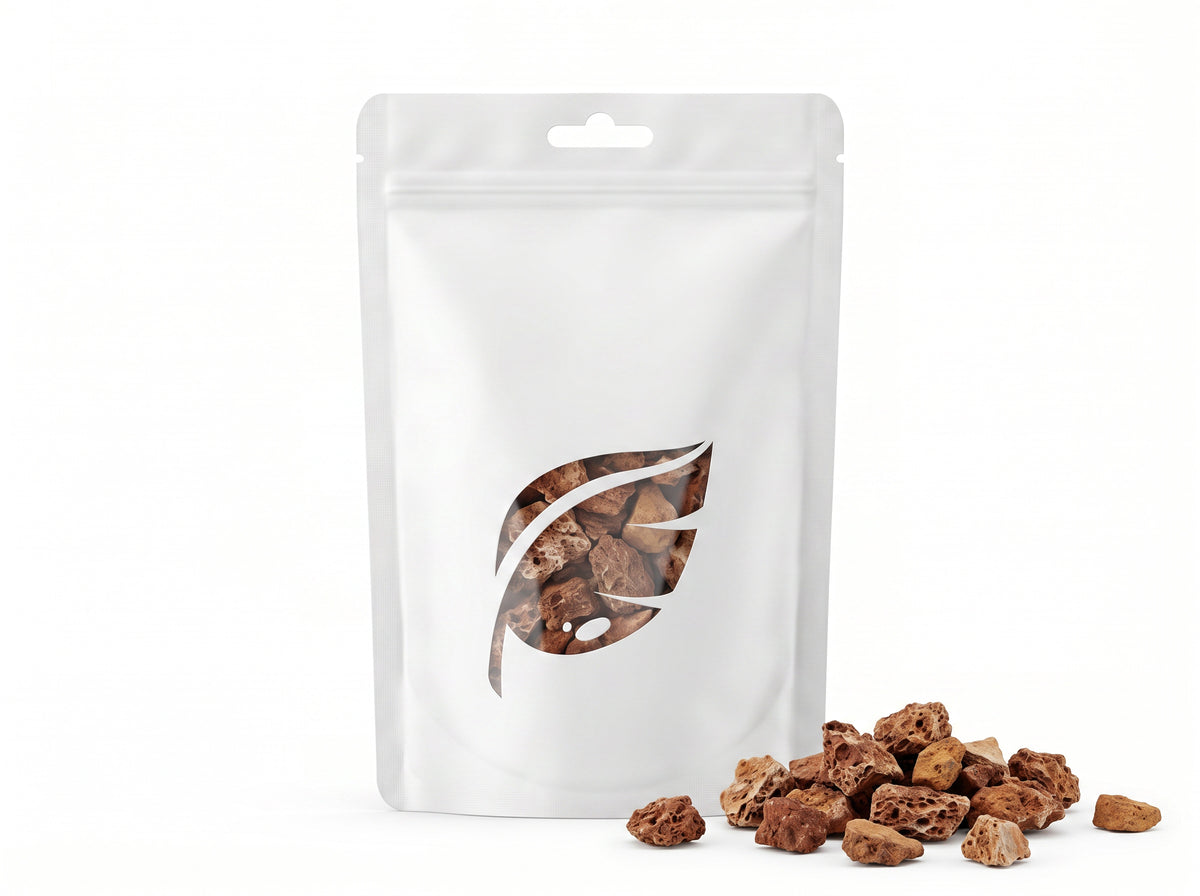 Versteinertes Laub - Stein für Aquarium & Terrarium - 250g Bruch