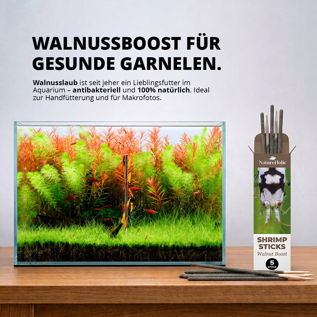 NatureHolic - Garnelen Lollies „Walnut Boost“ - 5 Lollis fürs Aquarium