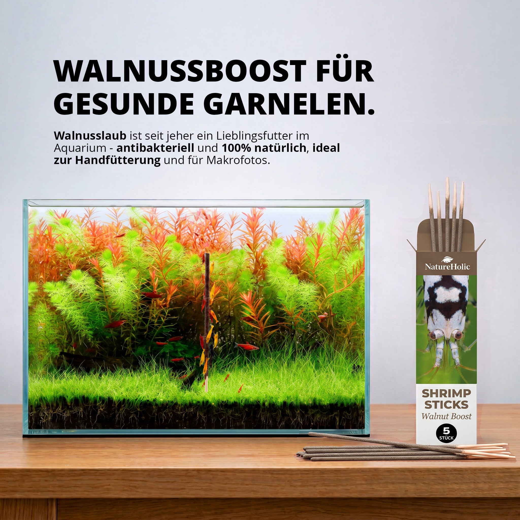 NatureHolic - Garnelen Lollies „Walnut Boost“ - 5 Lollis fürs Aquarium