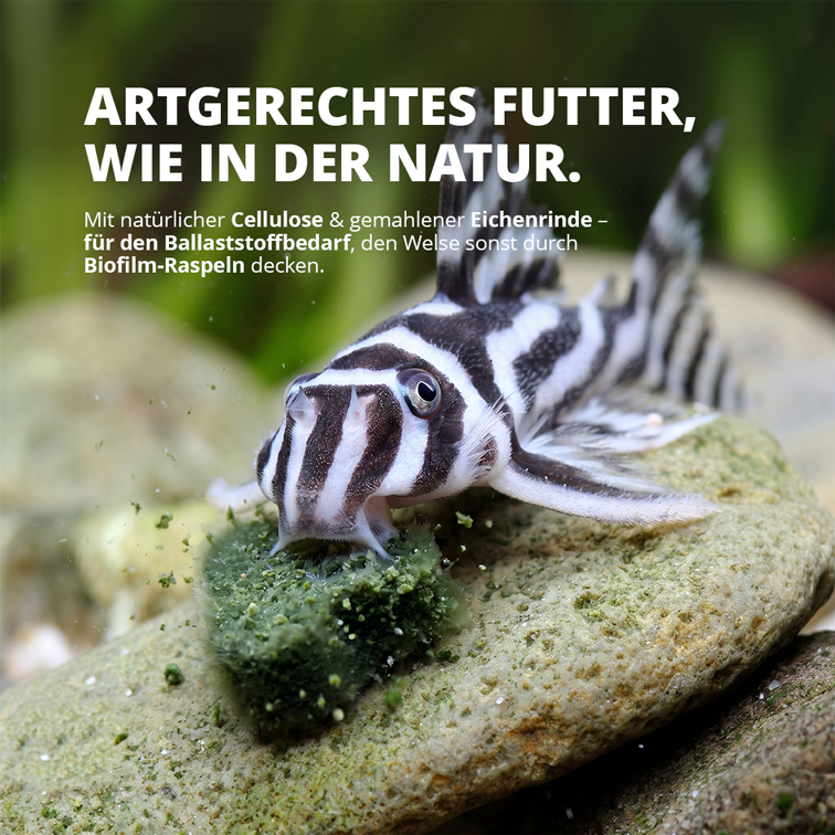 NatureHolic Wels Soft Drops —Softes Futter für Welse 30 g