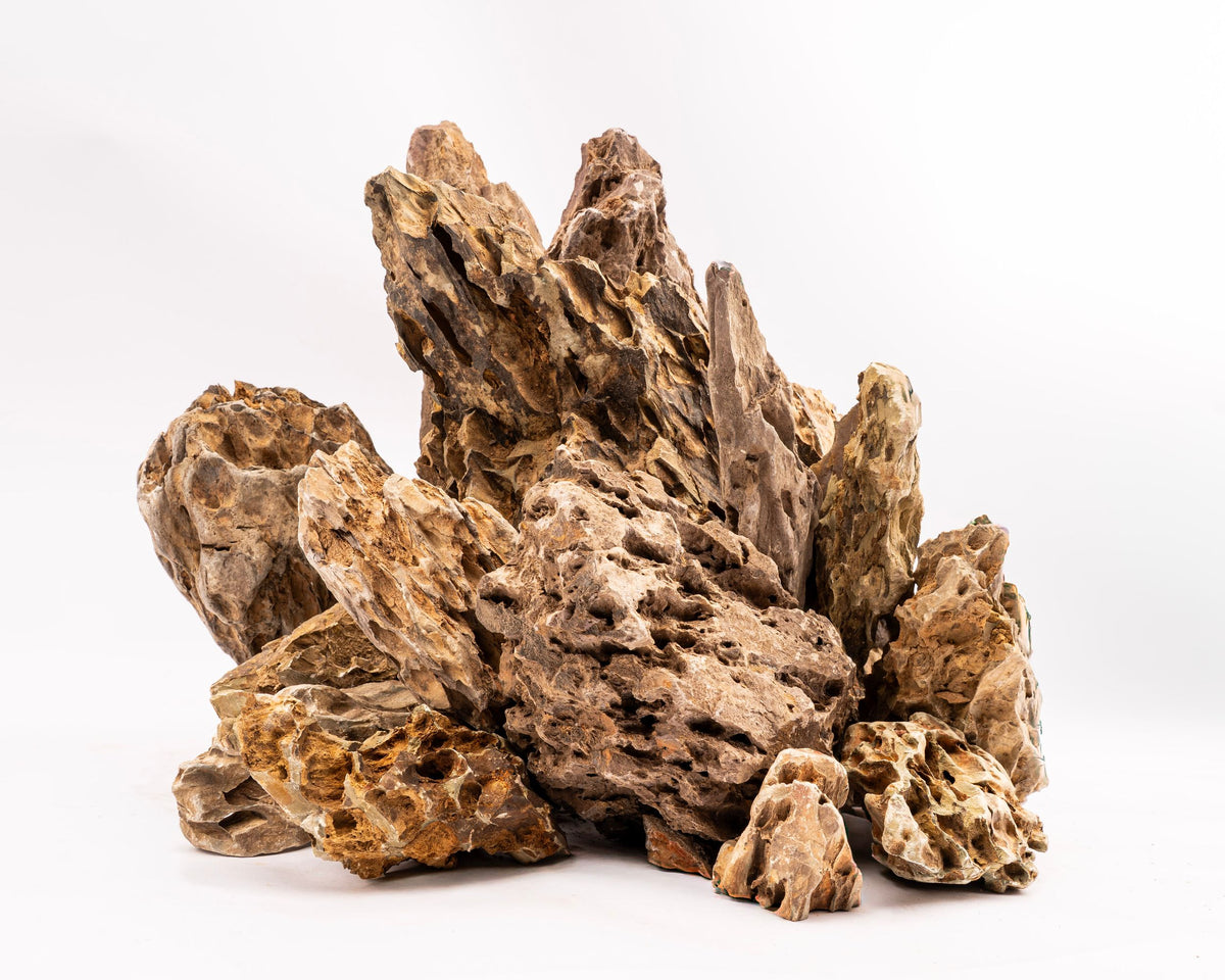 Drachenstein - Yamano Stone - Stein für Aquarium & Terrarium - 250g Bruch