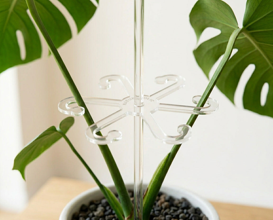 NatureHolic PlantHook – Pflanzenstütze aus Acryl mit Stab