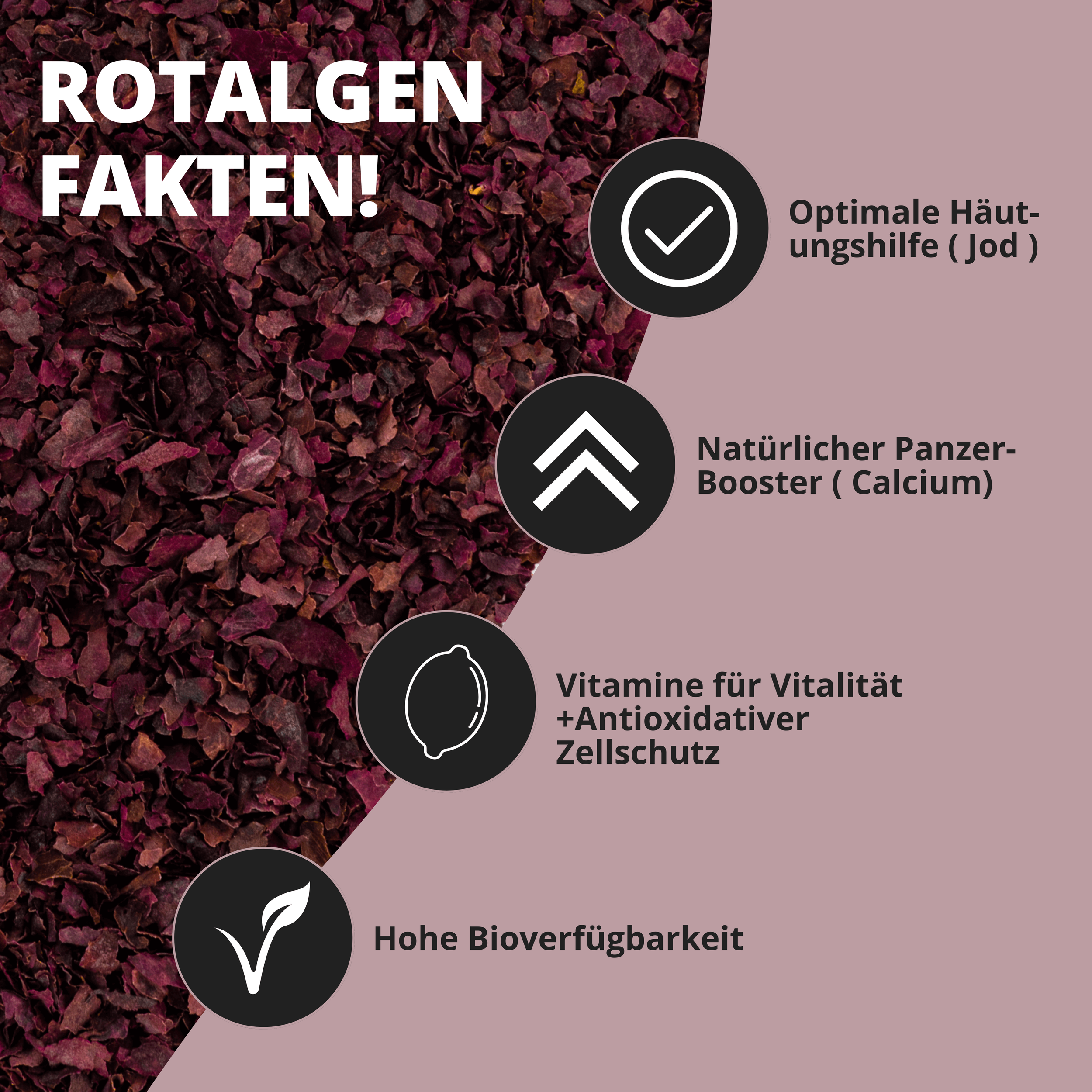 AlgaeFlakes