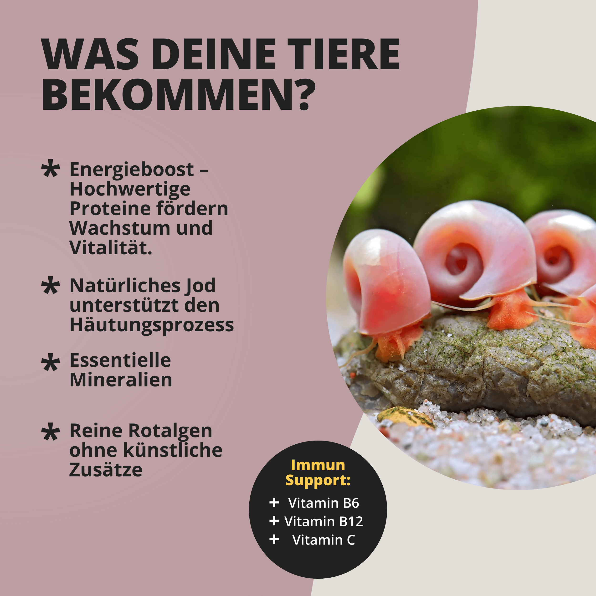 AlgaeFlakes
