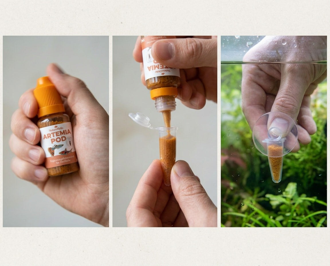 Drei Schritte: Flasche schütteln, Pod befüllen, Saugnapf an die Scheibe drücken